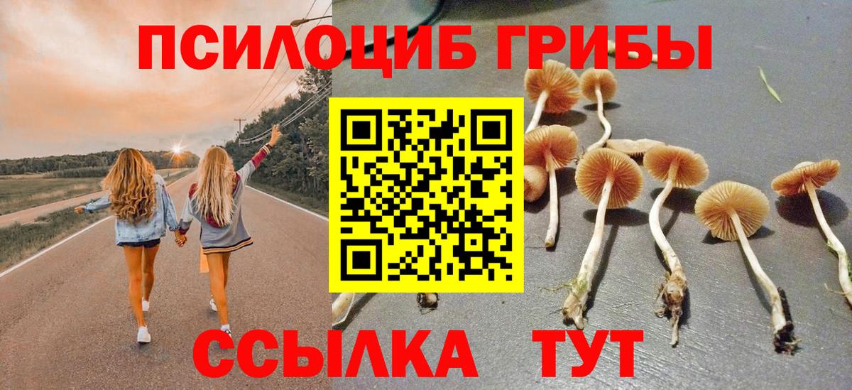 Сарапул  Галлюциногенные грибы мицелий  Вход с VPN 